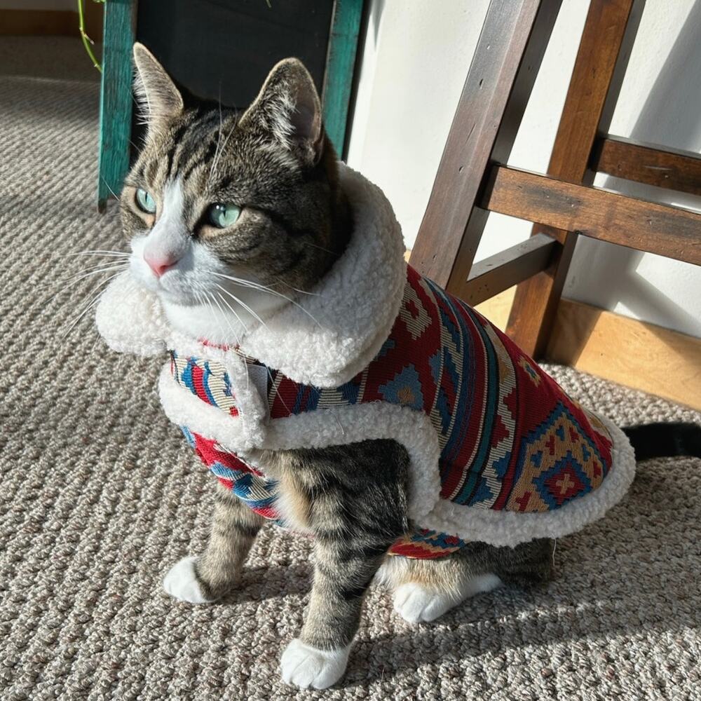 Frisco Mid-Heavyweight Geometric Western Dog & Cat Coat, Medium